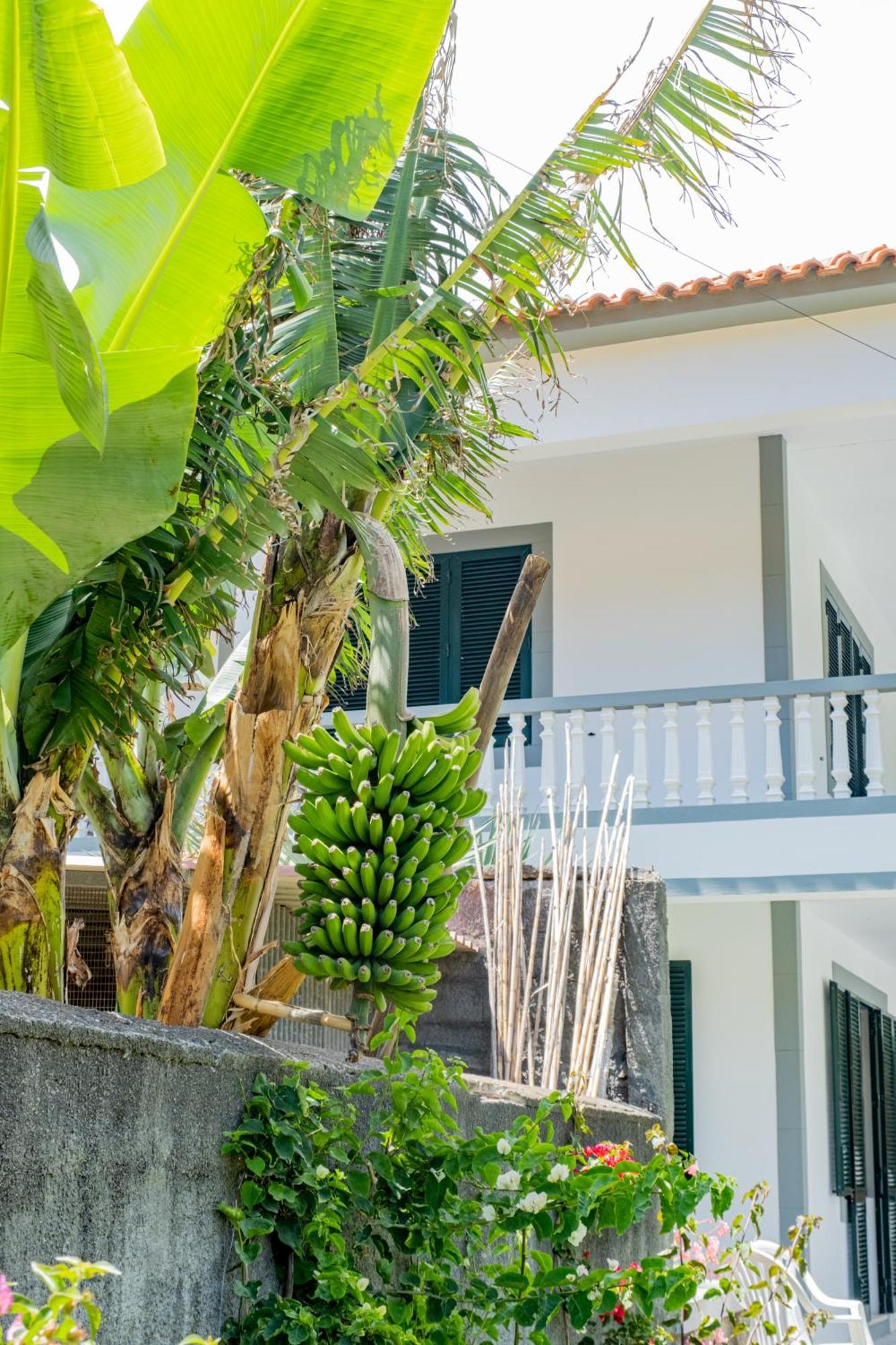 Sao Vicente Guest House Exterior photo